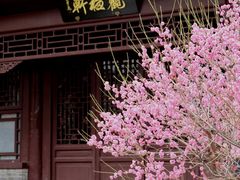 -国家植物园