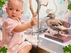 -陕西自然博物馆