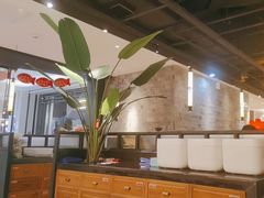 -江边城外烤全鱼(嘉定万达广场店)