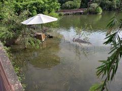 -厦门悦华酒店·绿庭主题自助餐厅