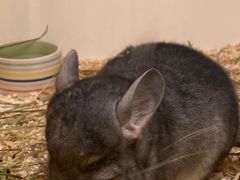 -龙猫仔乐园(惠福东路店)