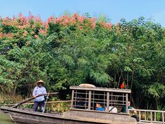 -溱湖国家湿地公园