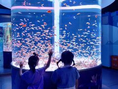 -海合安成都极地海洋公园