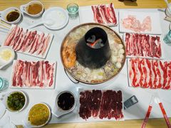 -徐记手切鲜羊肉(辽沈二街店)