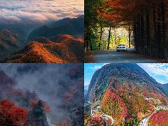 -秦岭风景区