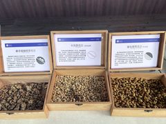 -比顿咖啡文化馆(升阳路店)