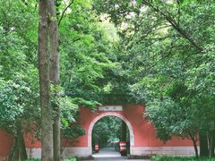 -灵谷景区