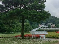 -广州市石门国家森林公园