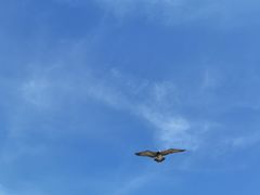 -海驴岛(荣成市)