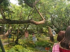-Chom Cafe and Restaurant