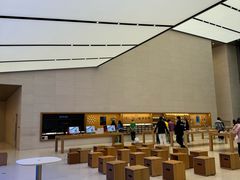 -Apple零售店(苏州店)