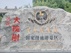 -大槐树寻根祭祖园