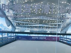 -Hopo Snow 城市滑雪空间(滨江宝龙城店)