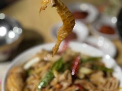 爆炒羊肚-野狗羊肉汤