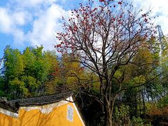 -丹山赤水风景名胜区