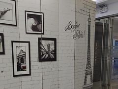 -泰康拜博口腔(世博园乐尔店)