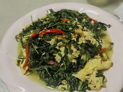 苜蓿炒蛋-煲来饱去冷水鱼
