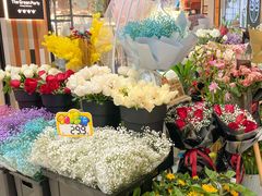 -大洋晶典(东街店)