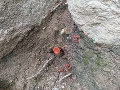 -天津盘山风景名胜区