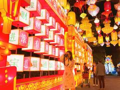 -欢乐海岸椰林沙滩-2025湾区超级灯会