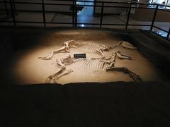 -洛阳周王城天子驾六博物馆