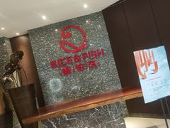 -饭怕鱼·黄焖鲟龙鱼(湖大店)