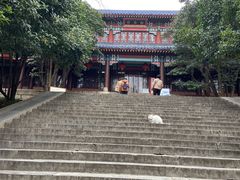 -灵谷景区