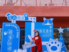 -昆山利星奔驰4S店(昆山店)