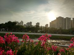 -海沧湾公园