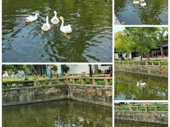 -苏州碑刻博物馆