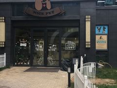 -奈斯宠物医院·核磁CT·异宠专科·内镜(中南店)