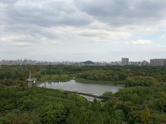 -昆山城市生态森林公园