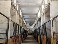 -枫露马术学院(藏书校区)