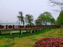 -金银湖国家城市湿地公园