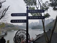 -重庆彩云湖湿地公园