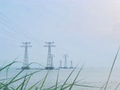 -宝安西湾红树林湿地公园