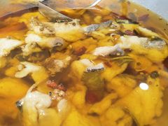 水煮鱼-蜀阳餐厅·金牌水煮鱼