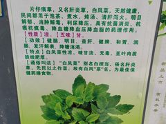 -阿桃甘蔗汁