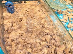 -仙螺岛海鲜自助餐厅(总店)
