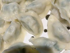 -船歌·鱼水饺青岛菜(金狮广场店)