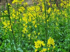 -西南民族大学南区(双流校区)