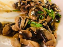 炒蘑菇-Old Shanghai Restaurant