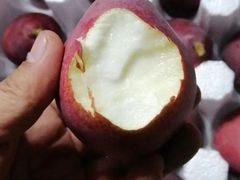 -三亚新鸿港水果一级批发市场