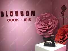 -OOAK设计师品牌概念店(新乐路店)