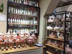 -猫咪博物馆(顶澳仔猫街店)