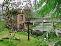 -王借岗森林公园