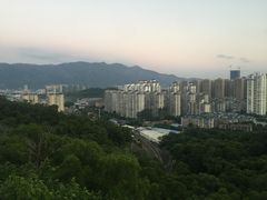 -金鸡山公园