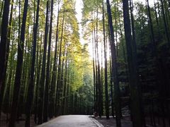 -山王坪喀斯特国家生态公园