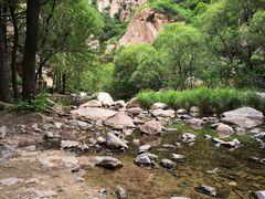 -碓臼峪自然风景区