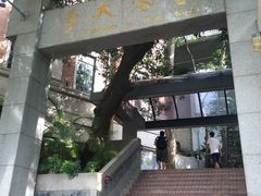 -香港大学